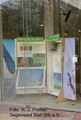 Gegenwind Bad Orb präsentiert die Wanderausstellung der Deutschen Wildtierstiftung “Windenergie im Lebensraum Wald” bis zum 15. Februar 2021